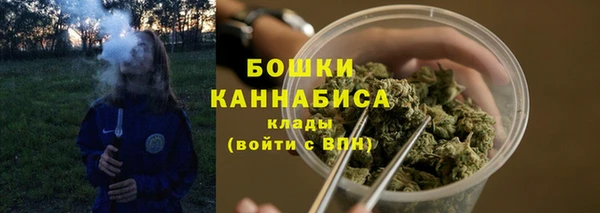 apvp Горно-Алтайск