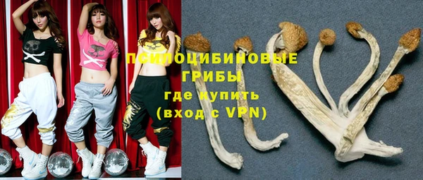 МДМА Горняк