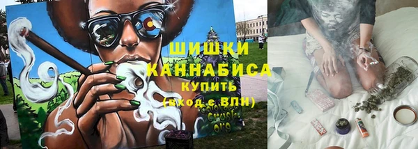 2c-b Горнозаводск