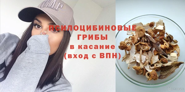 apvp Горно-Алтайск