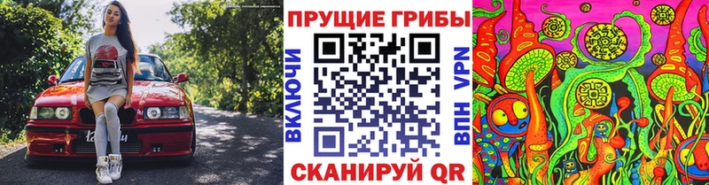 мориарти наркотические препараты  где купить   Грязовец  Псилоцибиновые грибы GOLDEN TEACHER  MEGA вход 